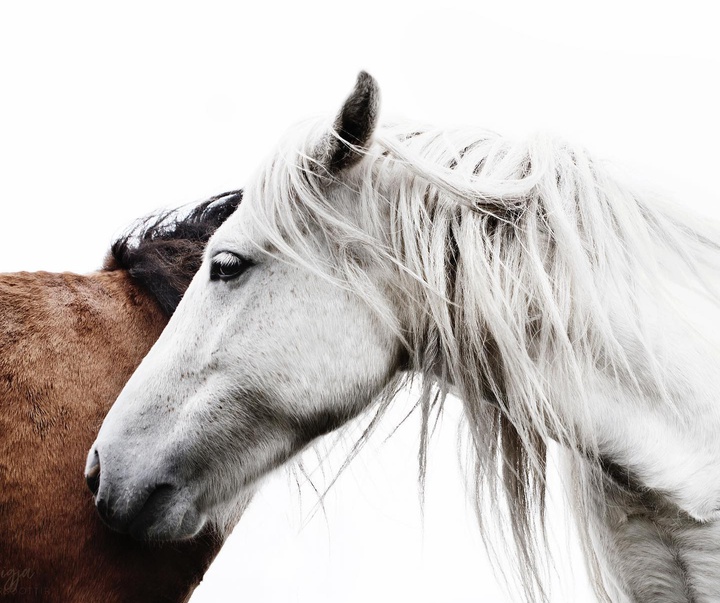 Gallery of Photography by Gigja Einars - Iceland