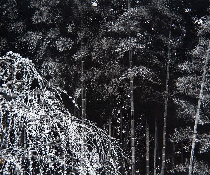 Gallery of Painting by Lumi Mizutani - Japan