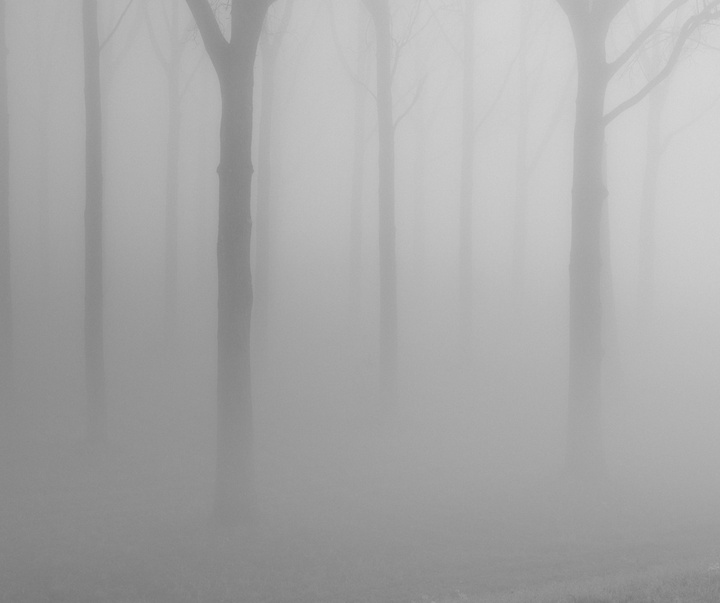 Gallery of Photography by René Dissel - Netherlands