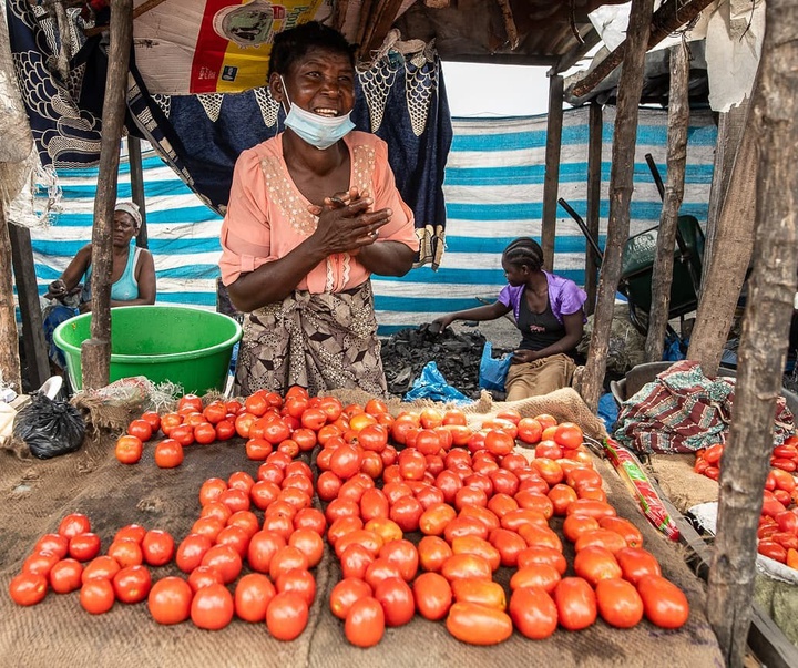 Gallery of photography by Grég. E. - Mozambique