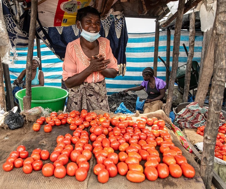 Gallery of photography by Grég. E. - Mozambique