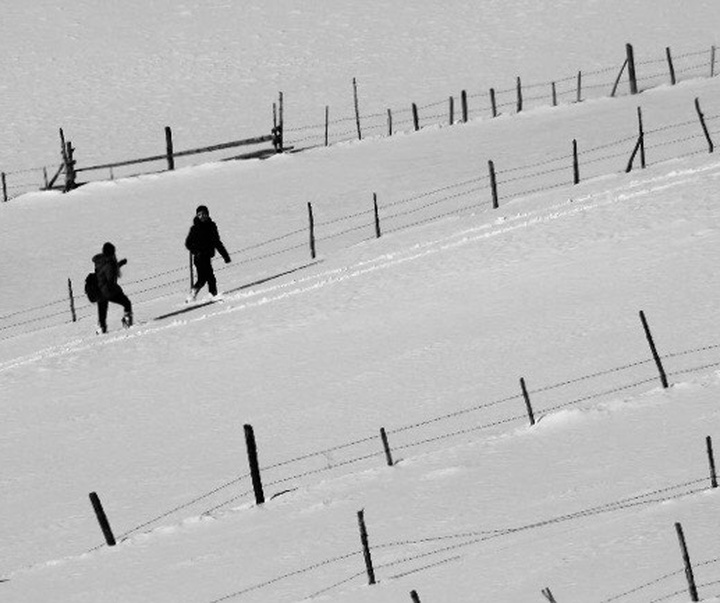 Gallery of photography by Asli Karabiçak - Turkey