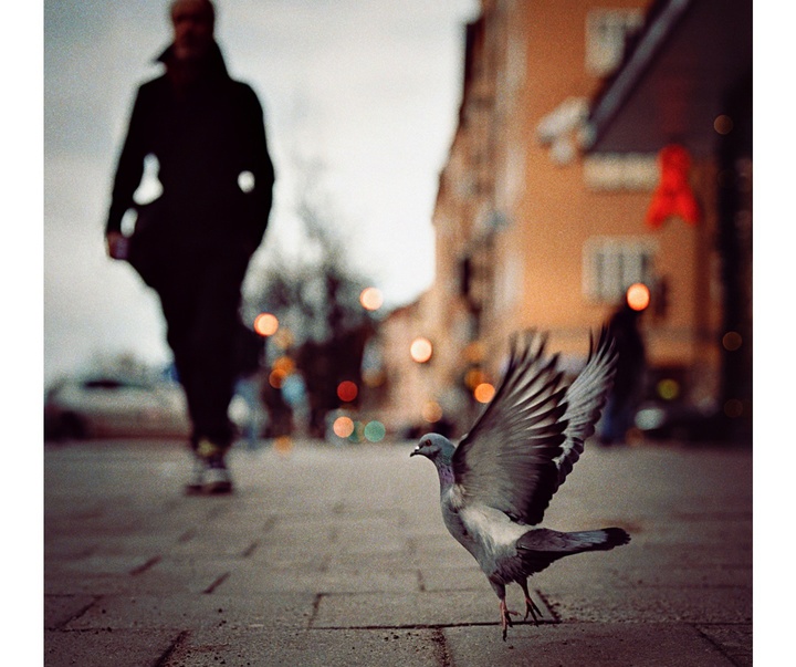 Gallery of Photography by Fredrik Axling - Sweden