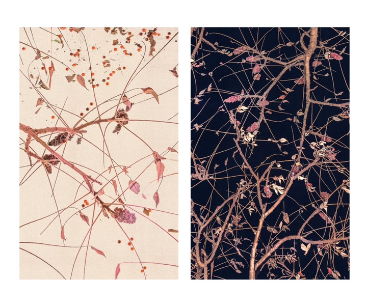 Gallery of Photography by Eva Chupikova - Slovakia