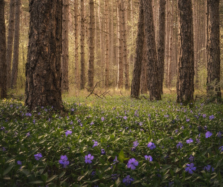 Gallery of photography by Pujan Shadlau - Austria