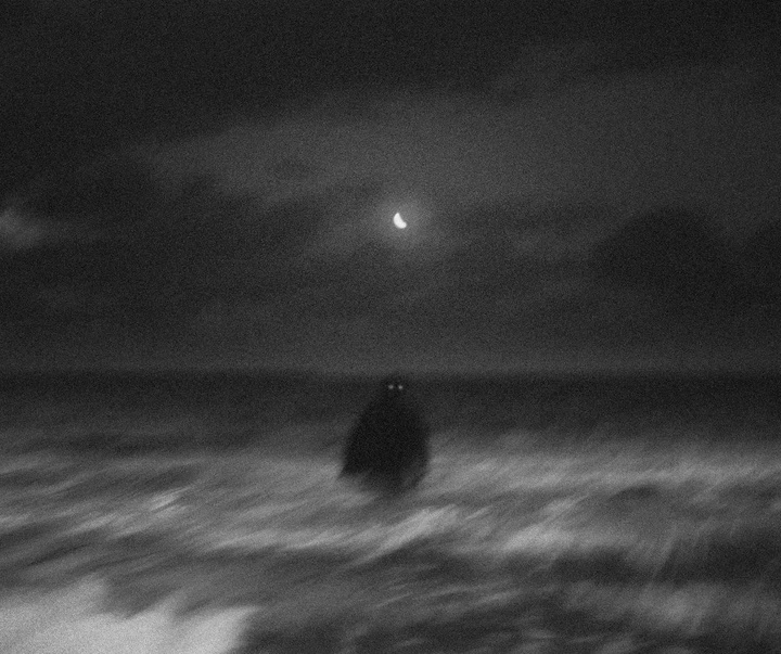 Gallery of Photography by Josiah Farrow - USA