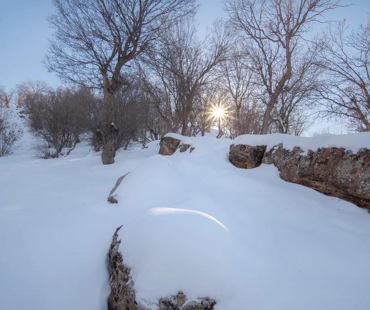 Gallery of photography by Farshad Sorkhi-Iran