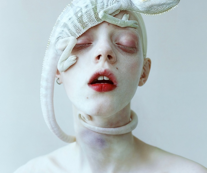 Gallery of Modern Art by Mira Nedyalkova - Bulgaria