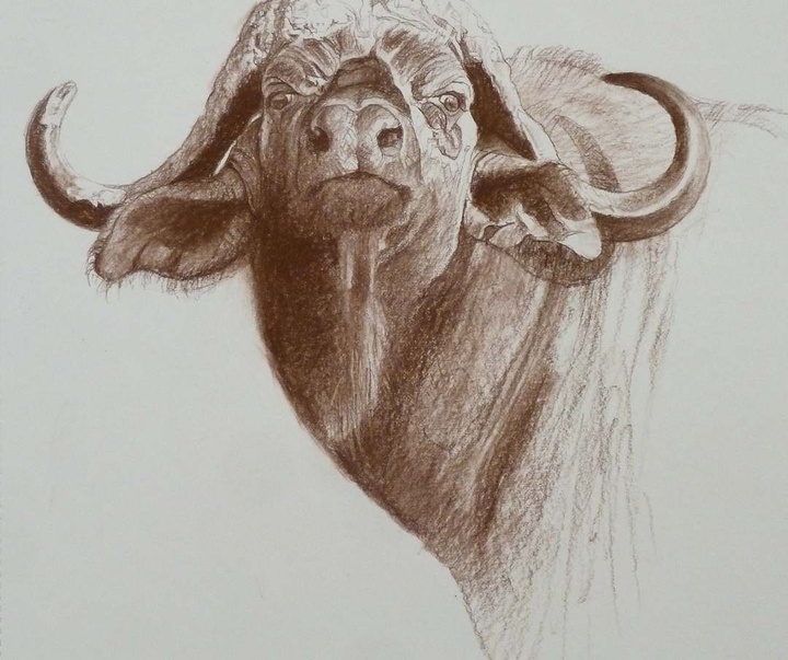 Gallery of Drawing by John Perry Baumlin- American