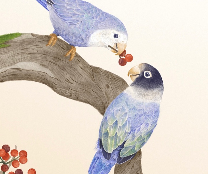 Gallery of Illustration by Erik Suswanto