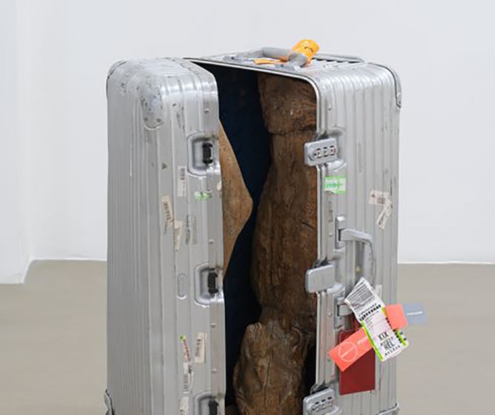 Gallery of modern art by Danh Vo from Vietnam