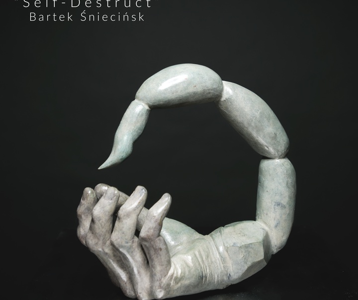 Bartek Śnieciński