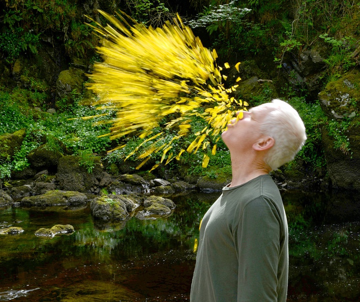 Gallery of Modern Art by Andy Goldsworthy - England
