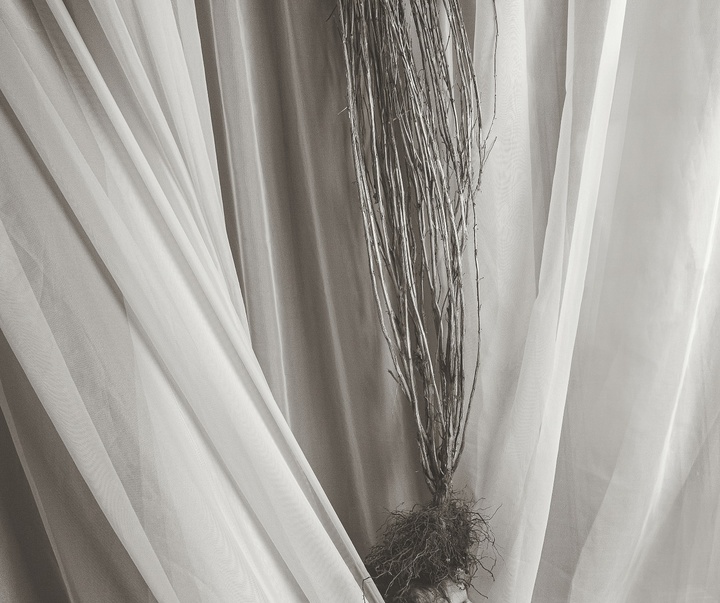 Gallery of Photography by Alexandros Othonos - Greece