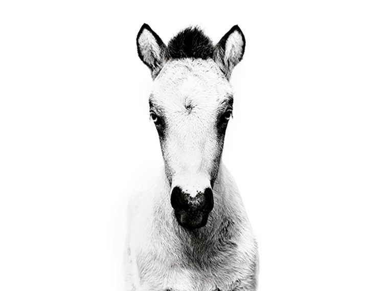 Gallery of Photography by Gigja Einars - Iceland