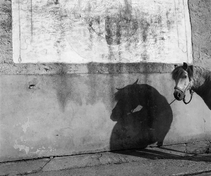 Gallery of Photography by laura pannack - UK