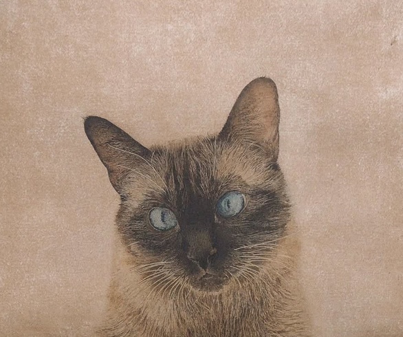 Gallery of Painting by Marta de la Sota Cores - Spain