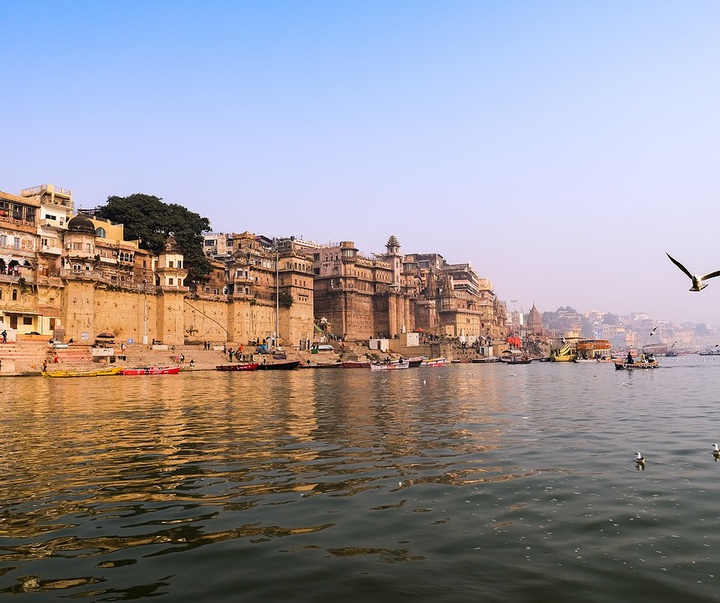 Gallery of Photography by Shreenivas Yenni - India