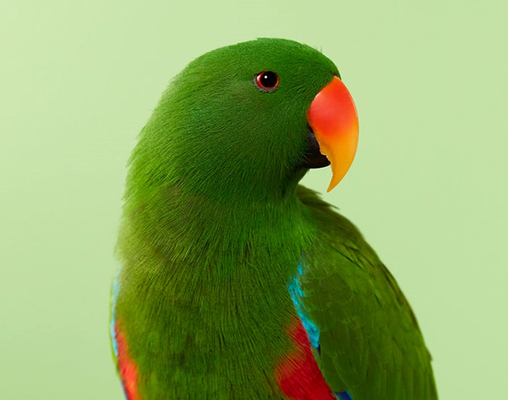 Gallery of Photography by Danny Eastwood - Australia