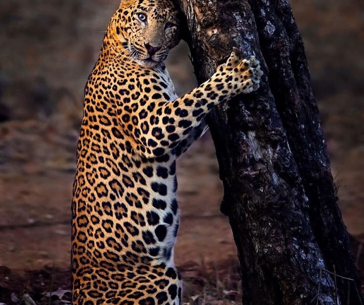 Gallery of Photography by Mithun Hunugund