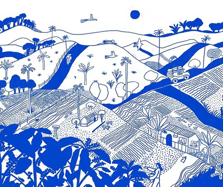 Gallery of Illustration by Gina Rosas Moncada - Colombia