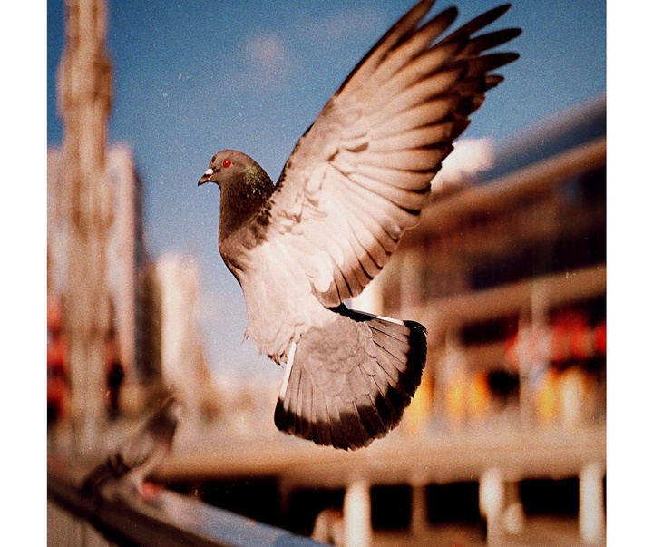 Gallery of Photography by Fredrik Axling - Sweden