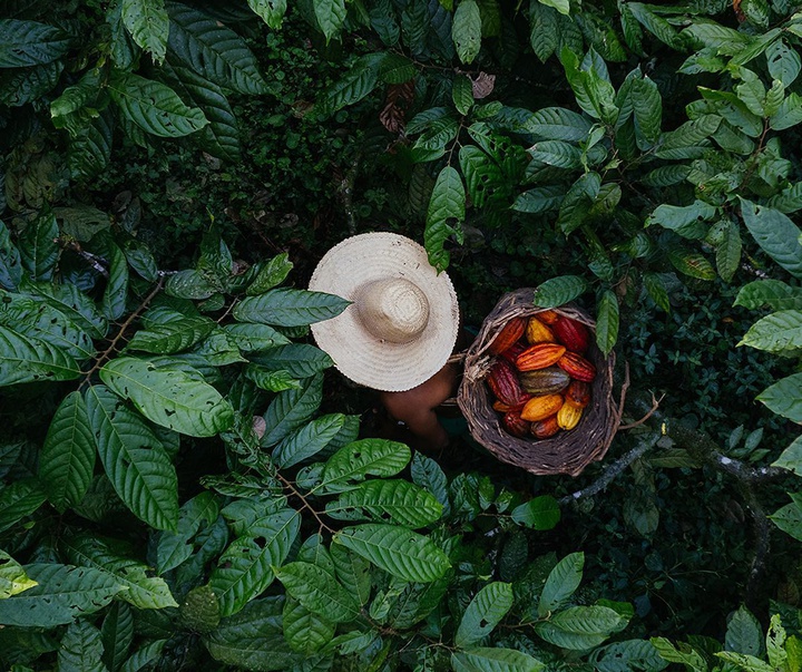 Gallery of Photography by Nicolas Ferri - Brazil