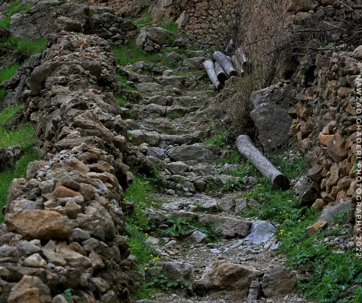 Gallery of photography by Nawzad Ghaderi - Iran