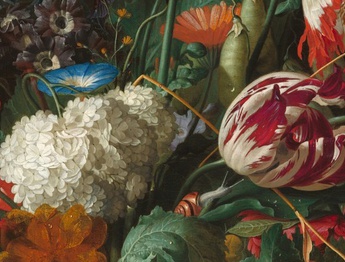 A celebration of the beauty of flowers in the works of Jan Davidsz de Heem