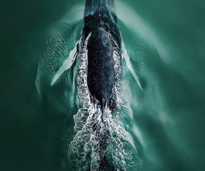 Gallery of Photography by Joanna Steidle - USA