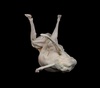 Gallery of Sculpture by Gino Lucas - Belgium