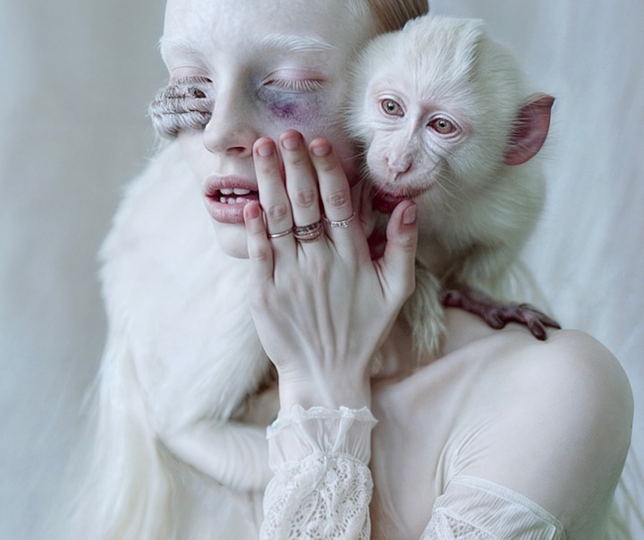 Gallery of Modern Art by Mira Nedyalkova - Bulgaria