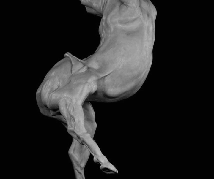 Gallery of Sculpture by Gino Lucas - Belgium