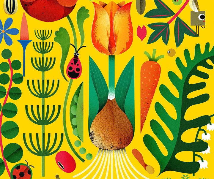 Gallery of Illustrations by Philip Giordano - Italy