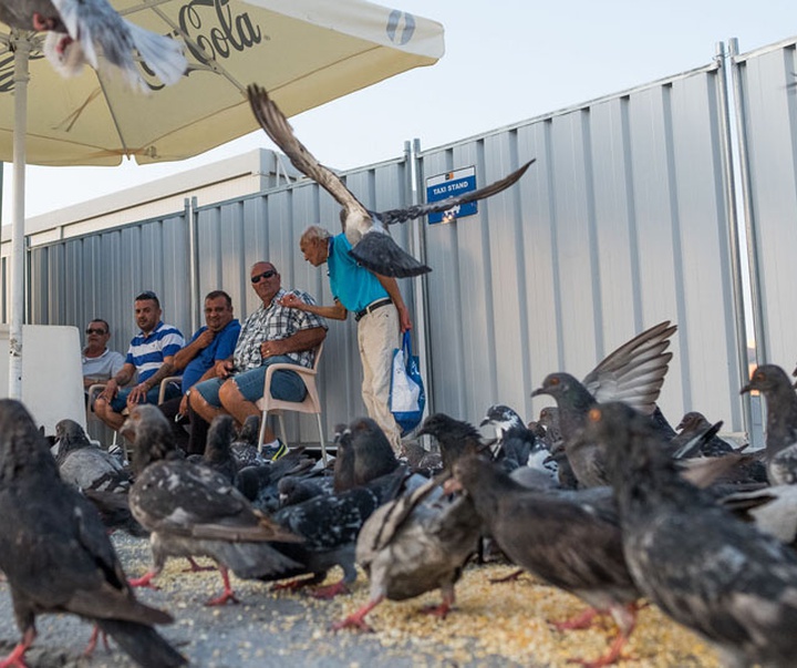 Gallery of photography by Skander Khalif-Tunisia