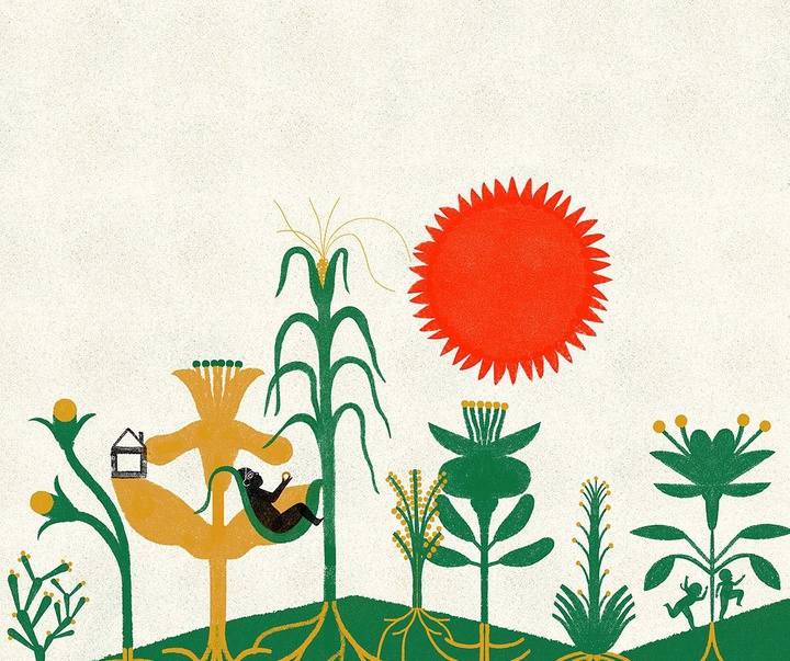 Gallery of Illustrations by amanda mijangos - Mexico