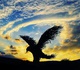 Gallery of Sculpture by Durul Bakan - Turkey