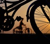 Gallery of Photography by Santanu Dey - India