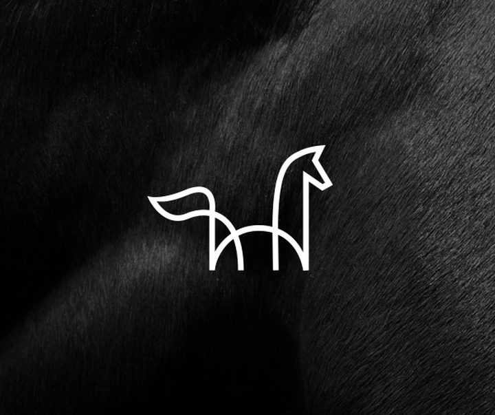 gallery of Graphics by Ramin Nasibov