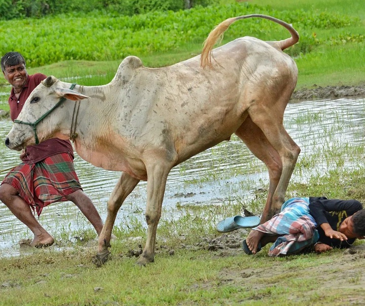 Gallery of Photography by Pranay Pariyar - India