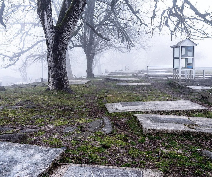 Gallery of Photos by Ali Ghalamsiah-Iran