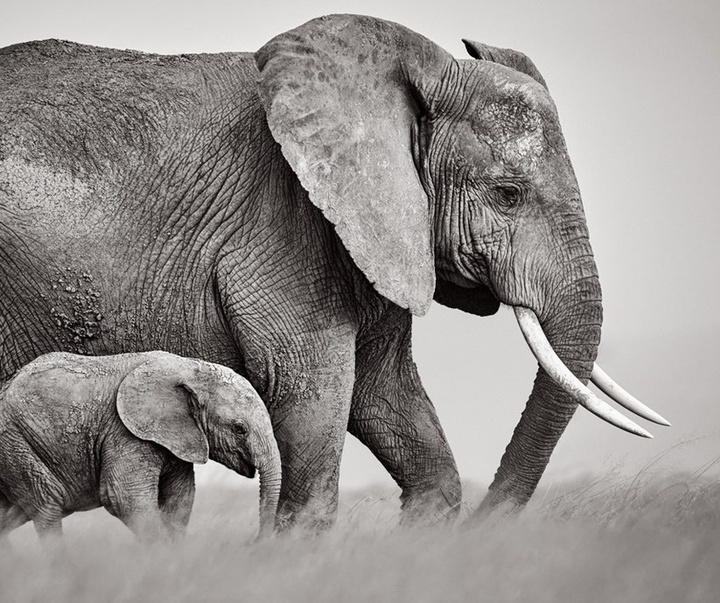 Gallery of Photography by Drew Doggett - USA