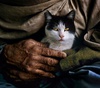 Gallery of Photography by Steve McCurry - USA