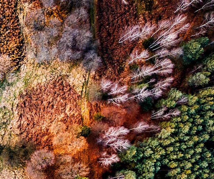 Gallery of Photography by Marcin Giba - Poland