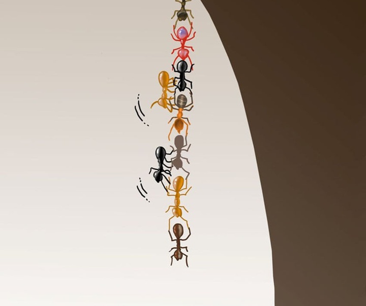 Finalists | 8. KalDer Bursa International Cartoon Contest-Turkey