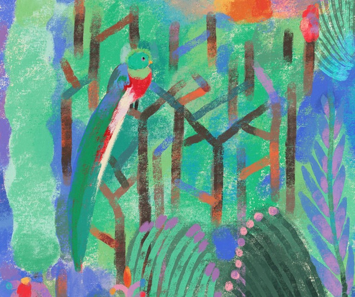 Gallery of Illustration by  Lucia Sarabia - Mexico