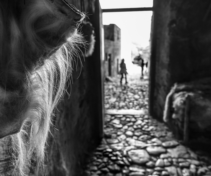 Gallery of Photography by Patrizia Galia - Italy