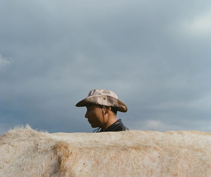 Gallery of Photography by kin chan coedel - Paris/Shanghai