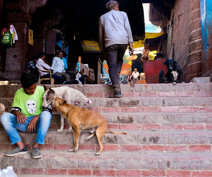Gallery of Photography by Shreenivas Yenni - India