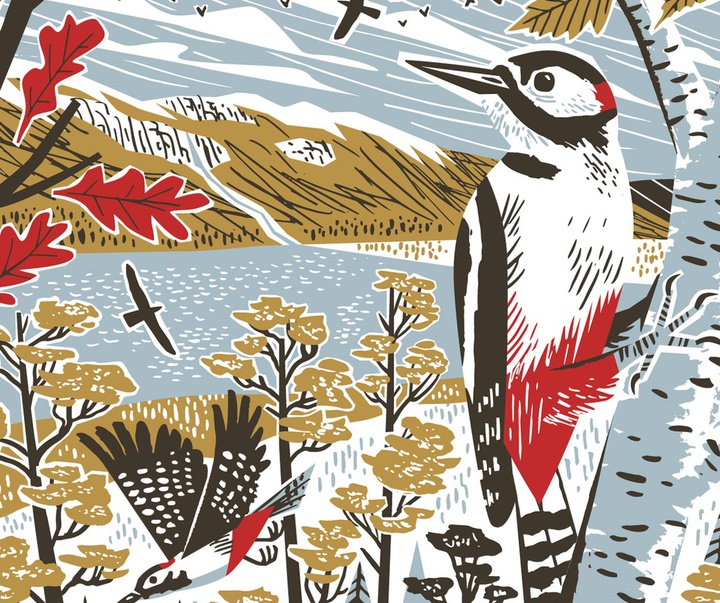 Gallery of Illustration by Matt Johnson - UK